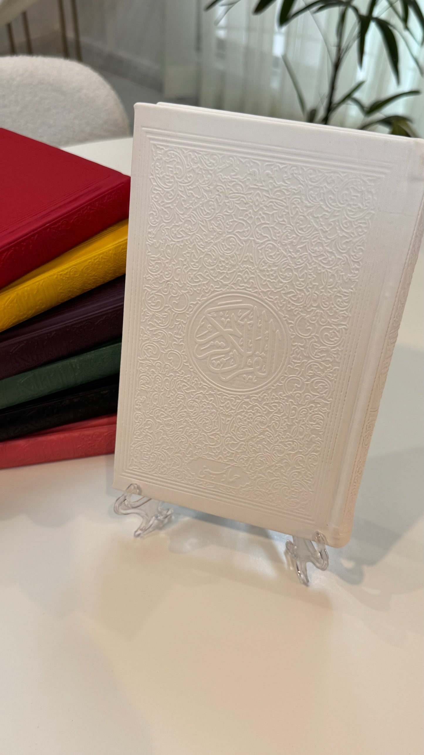 White leather rainbow Quran